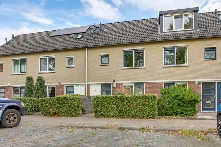 Citroenvlinder 124 Meppel