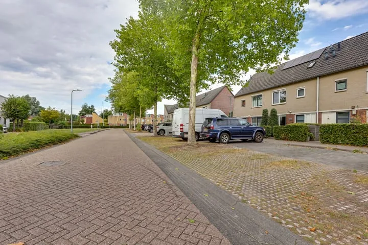 Citroenvlinder 124 Meppel thumbnail 31