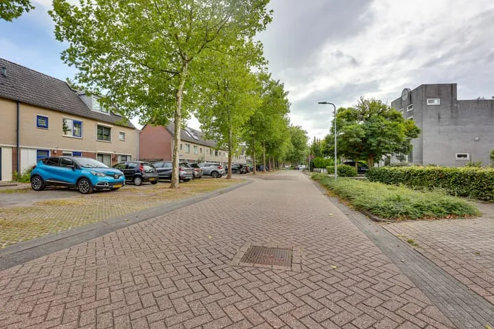 Citroenvlinder 124 Meppel thumbnail 32