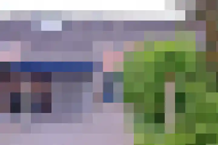 Citroenvlinder 13 in Deventer