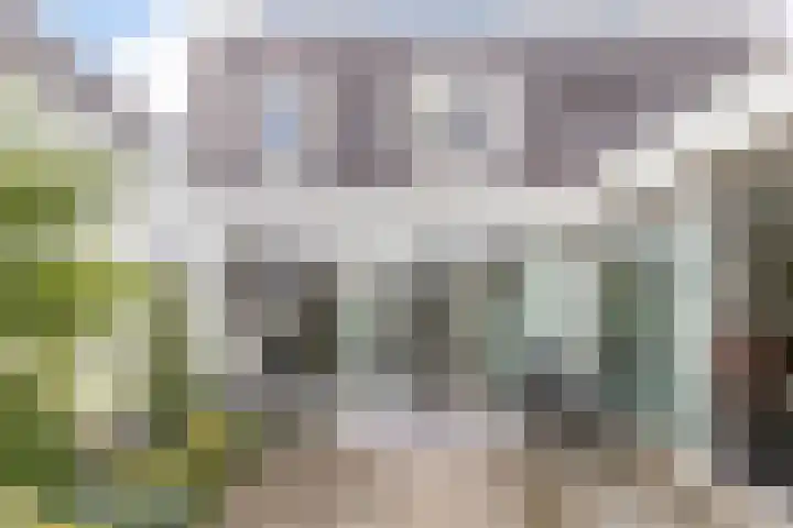 Citroenvlinder 13 Apeldoorn thumbnail 10