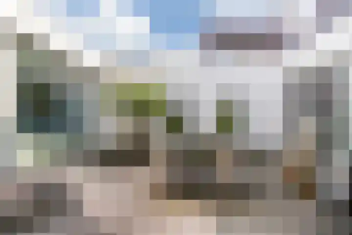 Citroenvlinder 13 Apeldoorn thumbnail 11