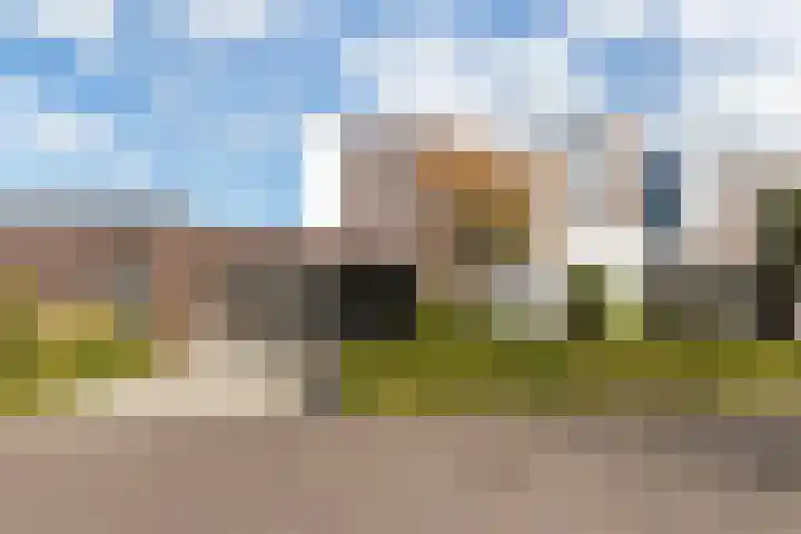 Citroenvlinder 13 Apeldoorn thumbnail 34