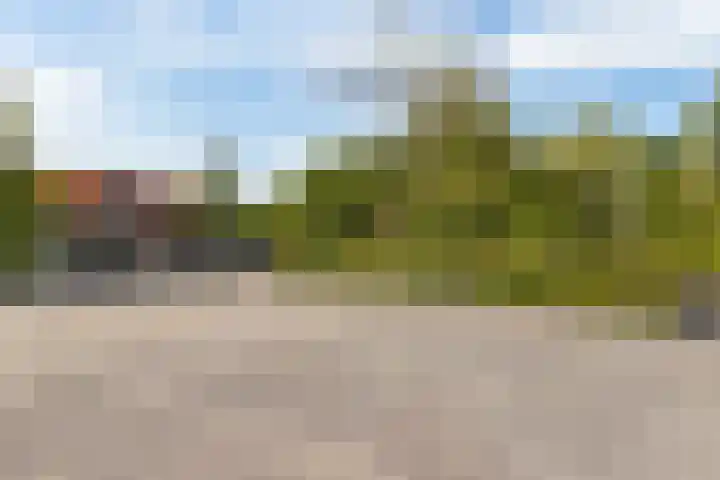 Citroenvlinder 13 Apeldoorn thumbnail 36