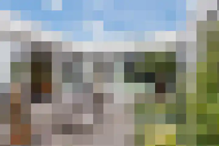 Citroenvlinder 13 Apeldoorn thumbnail 9