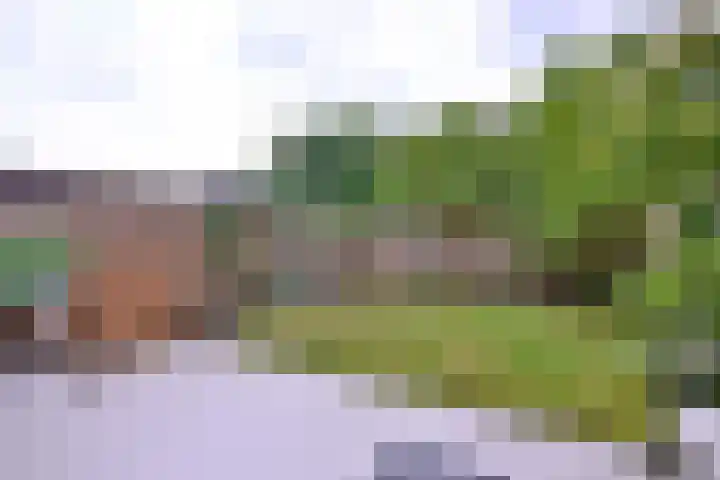 Citroenvlinder 13 Deventer thumbnail 31