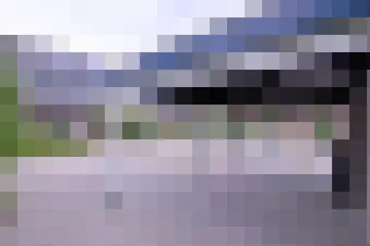 Citroenvlinder 13 Deventer thumbnail 34