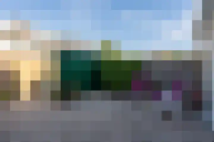 Citroenvlinder 13 Diemen thumbnail 26