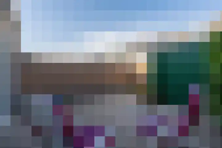 Citroenvlinder 13 Diemen thumbnail 27
