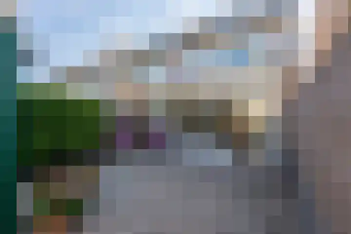 Citroenvlinder 13 Diemen thumbnail 28