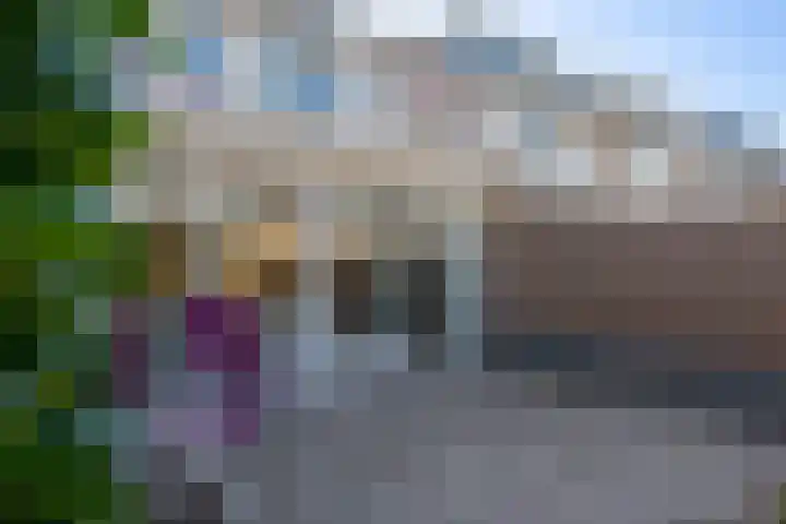 Citroenvlinder 13 Diemen thumbnail 29
