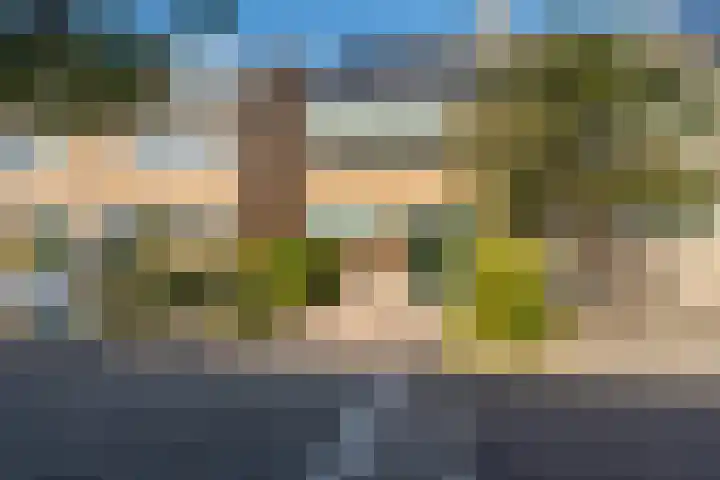 Citroenvlinder 13 Diemen thumbnail 51