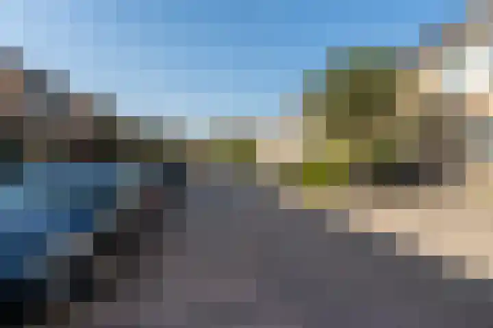 Citroenvlinder 13 Diemen thumbnail 53