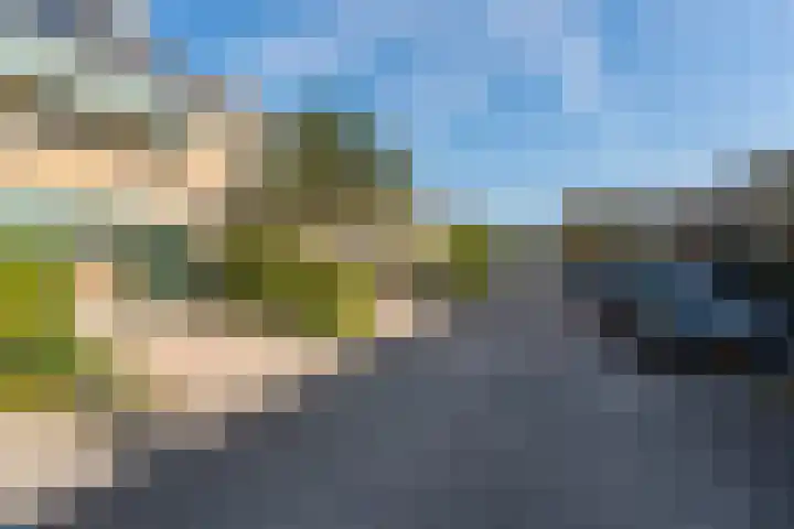 Citroenvlinder 13 Diemen thumbnail 7