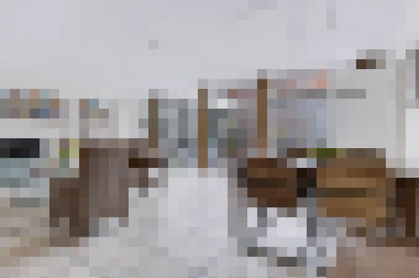 Citroenvlinder 15 Apeldoorn thumbnail 10
