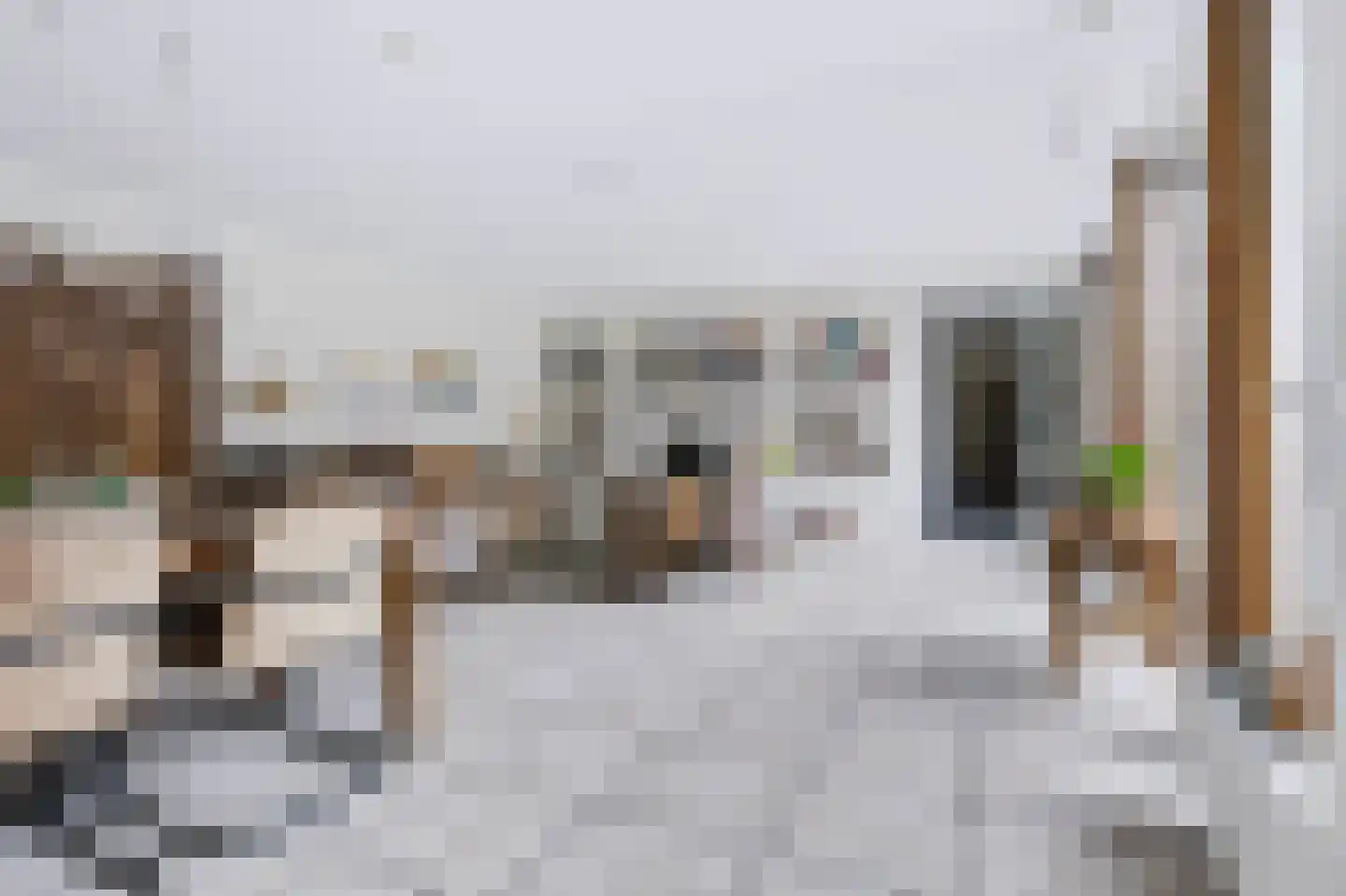 Citroenvlinder 15 Apeldoorn thumbnail 11