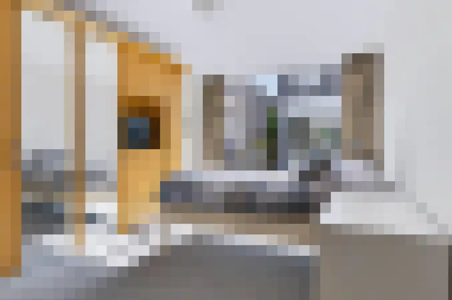 Citroenvlinder 15 Apeldoorn thumbnail 14