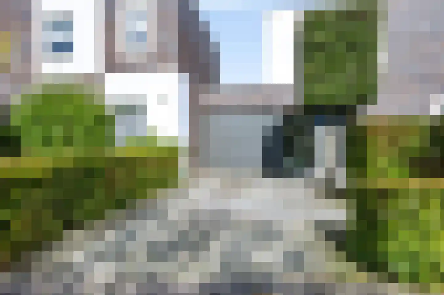 Citroenvlinder 15 Apeldoorn thumbnail 35