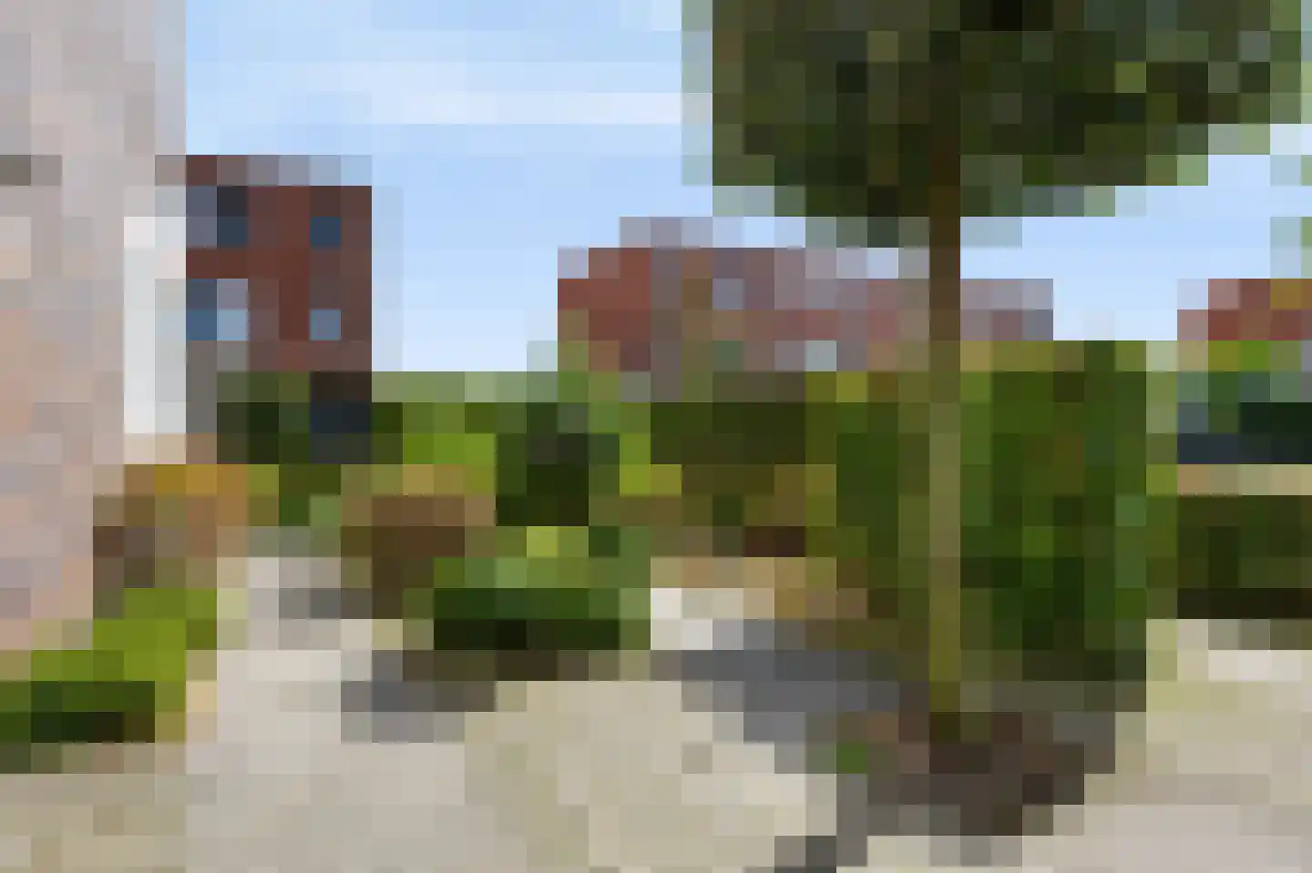 Citroenvlinder 15 Apeldoorn thumbnail 36