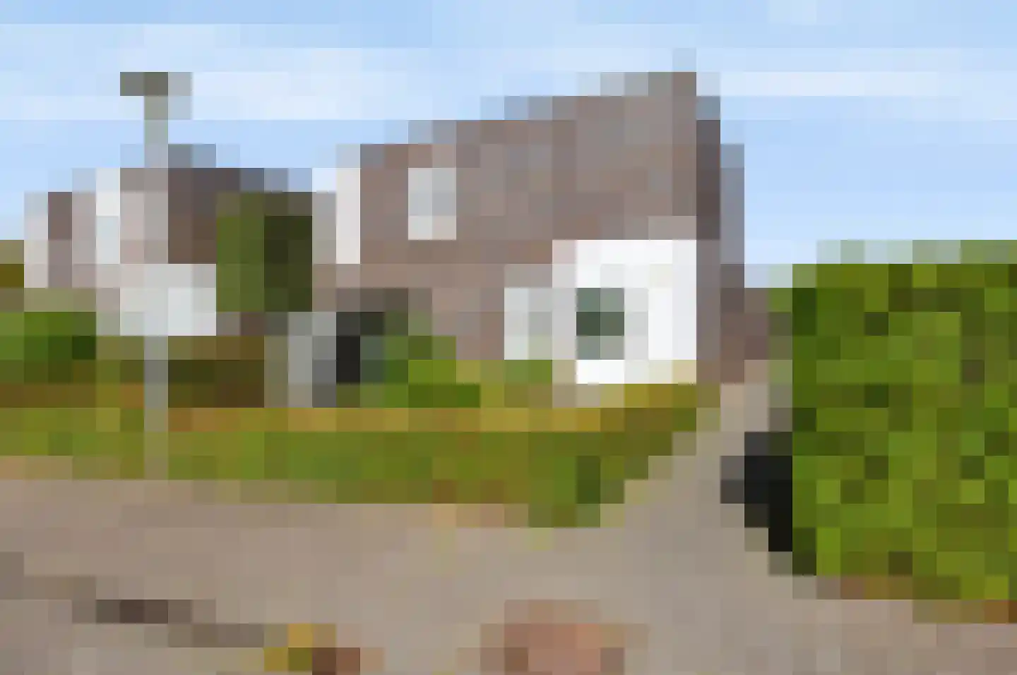 Citroenvlinder 15 Apeldoorn thumbnail 38