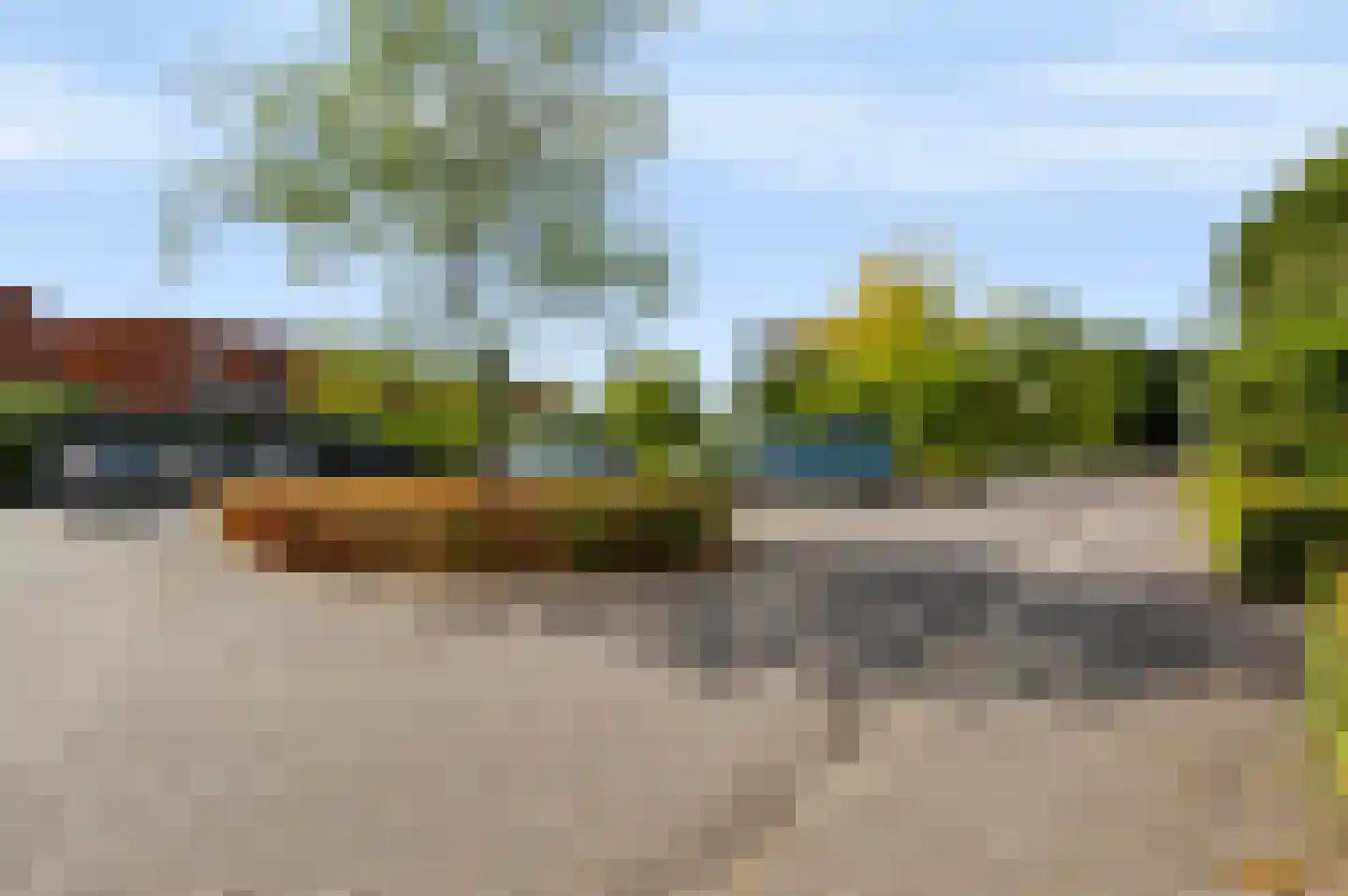 Citroenvlinder 15 Apeldoorn thumbnail 40