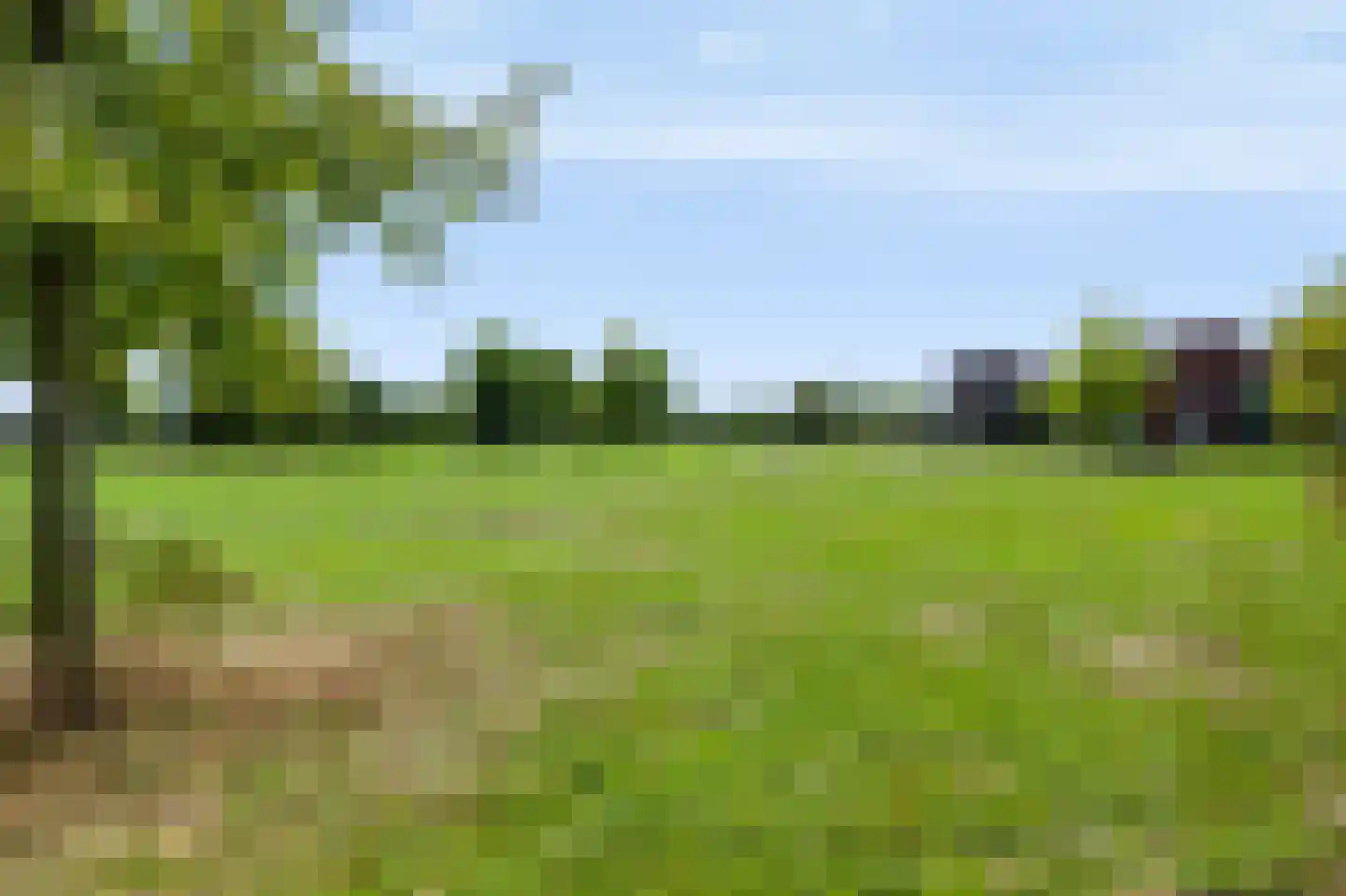 Citroenvlinder 15 Apeldoorn thumbnail 41