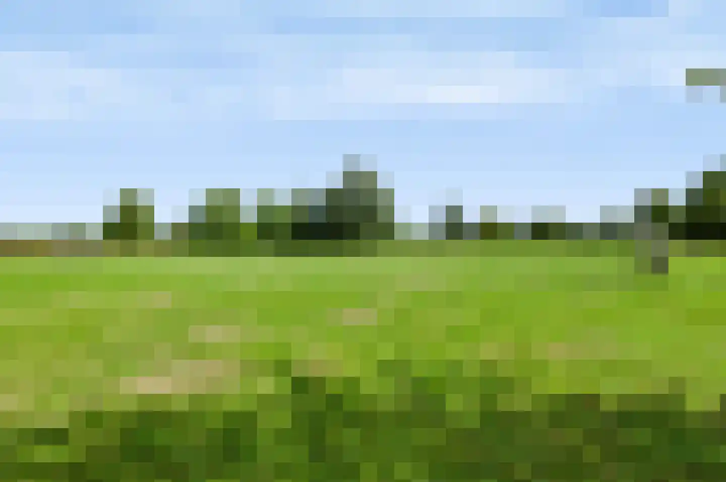 Citroenvlinder 15 Apeldoorn thumbnail 42