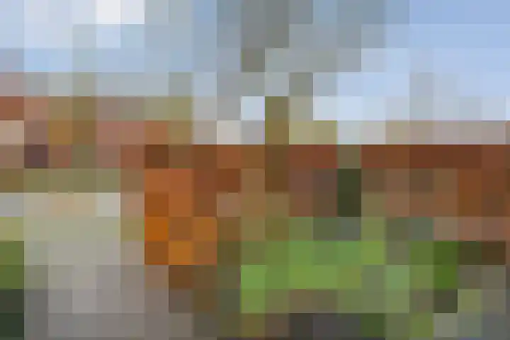 Citroenvlinder 159 Meppel thumbnail 41