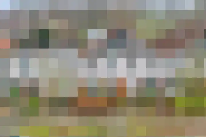 Citroenvlinder 159 Meppel thumbnail 42