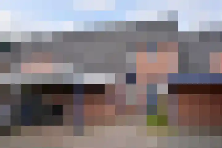 Citroenvlinder 17 Deventer