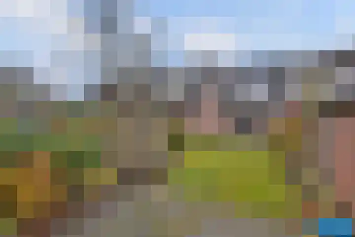 Citroenvlinder 17 Deventer thumbnail 29
