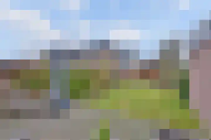 Citroenvlinder 17 Deventer thumbnail 31
