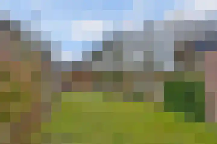 Citroenvlinder 17 Deventer thumbnail 32
