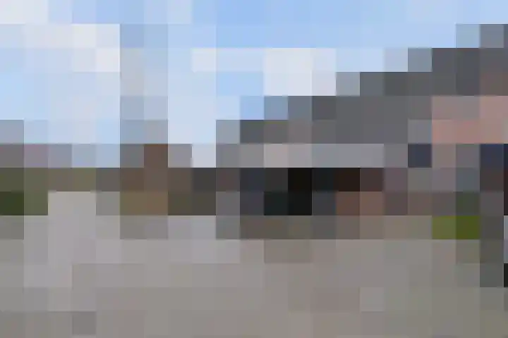 Citroenvlinder 17 Deventer thumbnail 33