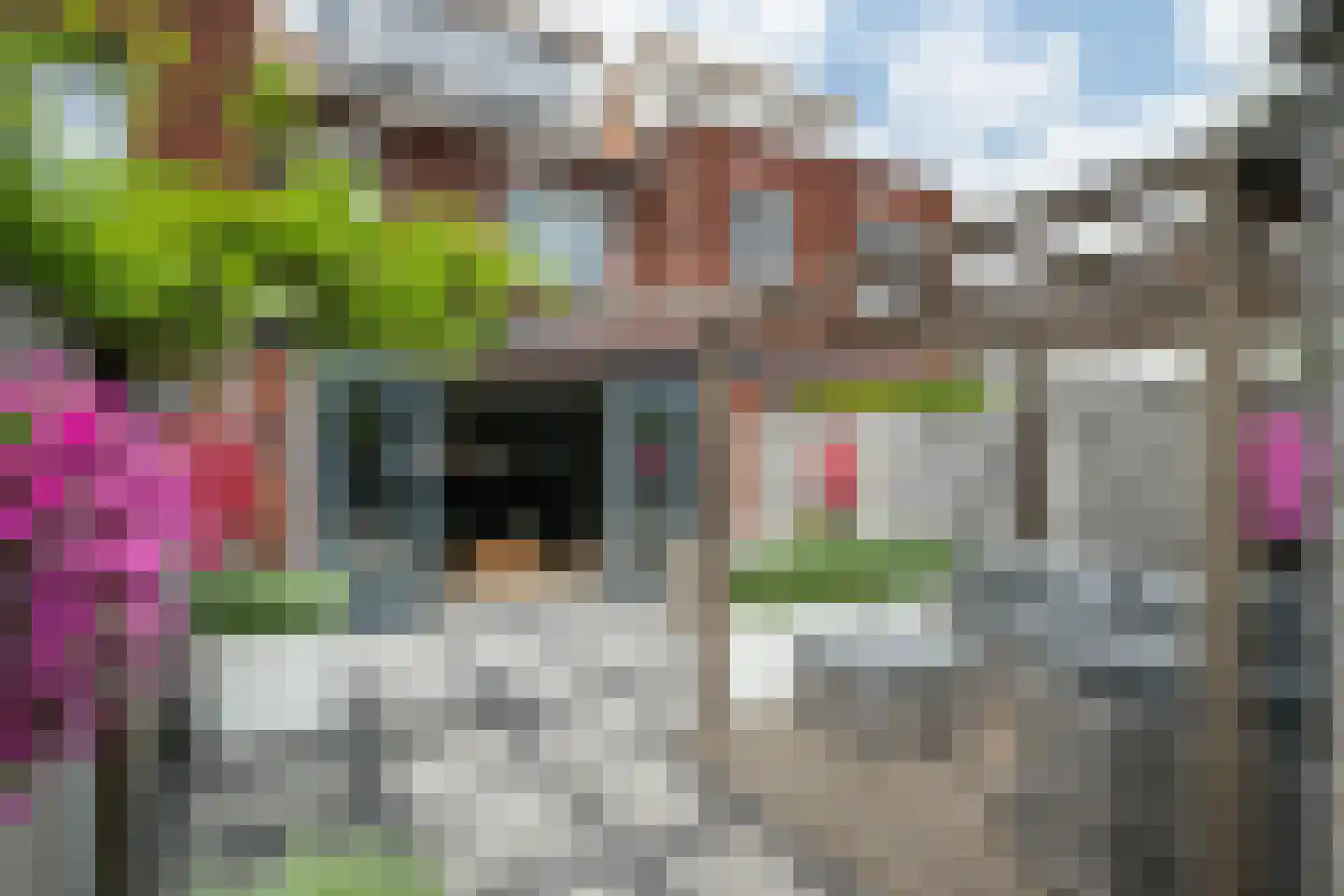 Citroenvlinder 17 's-Gravenzande thumbnail 17
