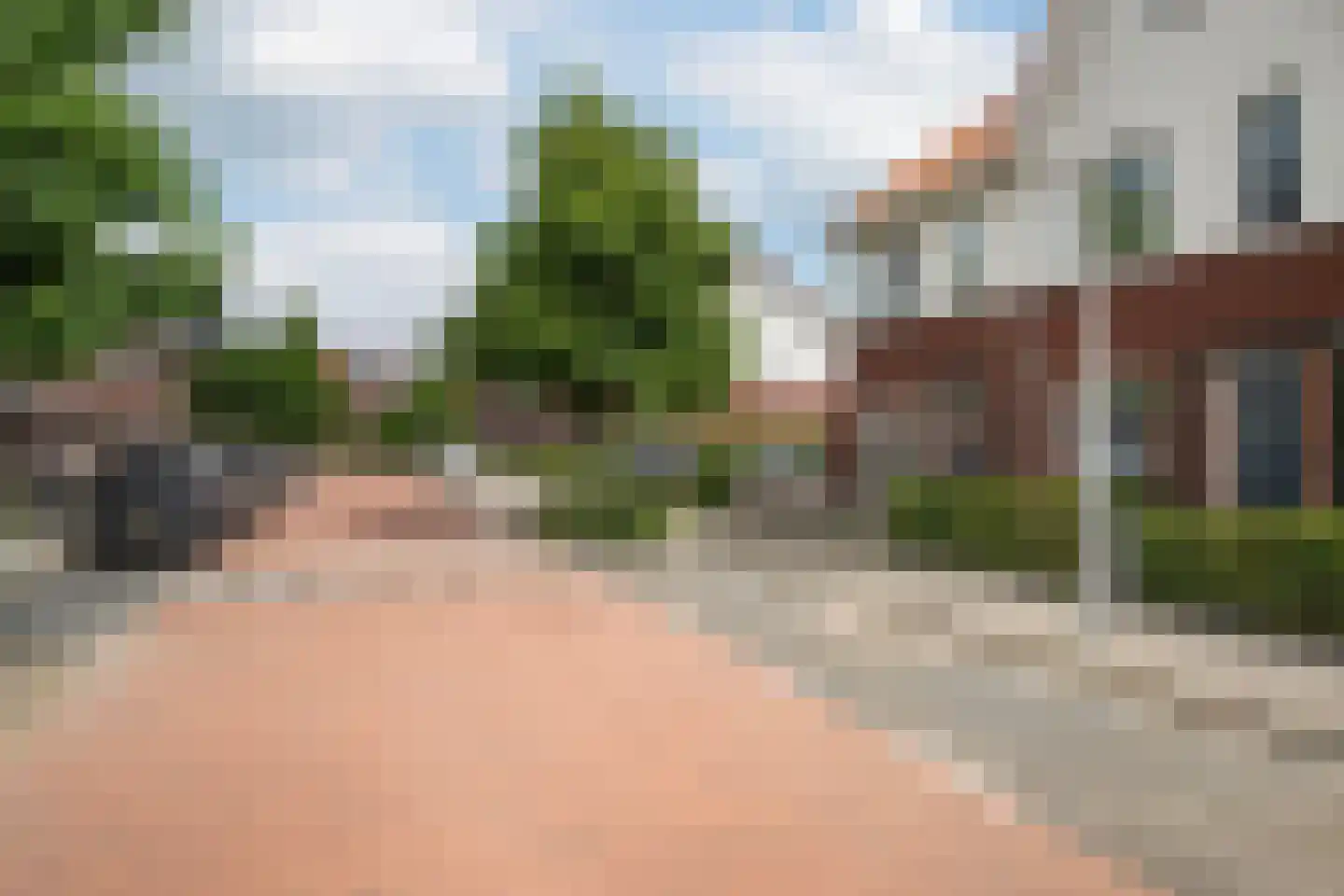 Citroenvlinder 17 's-Gravenzande thumbnail 42
