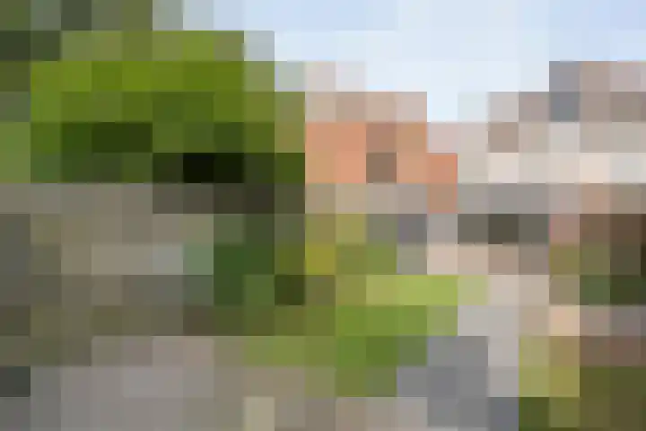 Citroenvlinder 172 Meppel thumbnail 37