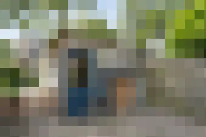 Citroenvlinder 172 Meppel thumbnail 38