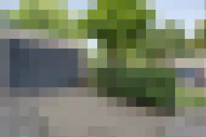 Citroenvlinder 172 Meppel thumbnail 39