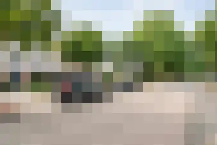 Citroenvlinder 172 Meppel thumbnail 9