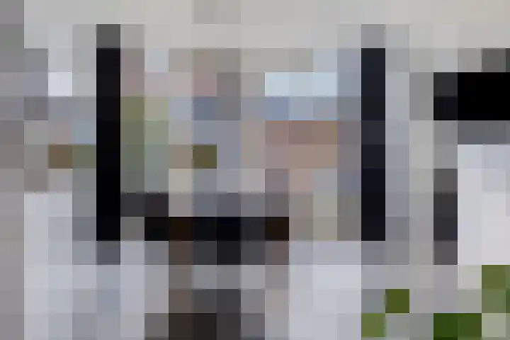 Citroenvlinder 18 Emmen thumbnail 11