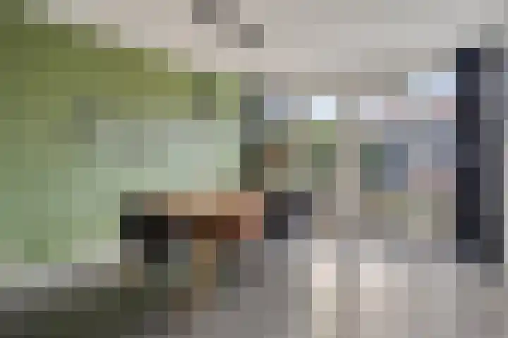 Citroenvlinder 18 Emmen thumbnail 12