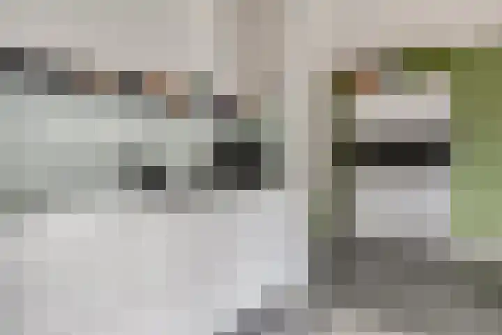 Citroenvlinder 18 Emmen thumbnail 16