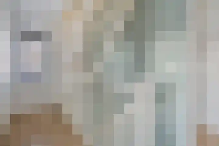 Citroenvlinder 18 Emmen thumbnail 19