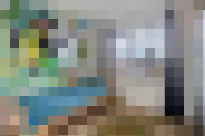 Citroenvlinder 18 Emmen thumbnail 24