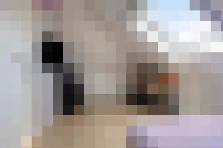 Citroenvlinder 18 Emmen thumbnail 28