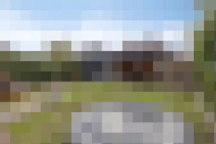Citroenvlinder 18 Emmen thumbnail 30