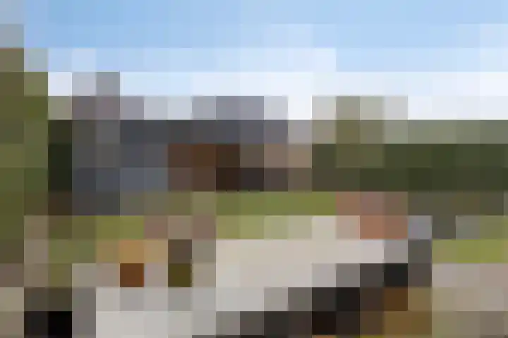 Citroenvlinder 18 Emmen thumbnail 31