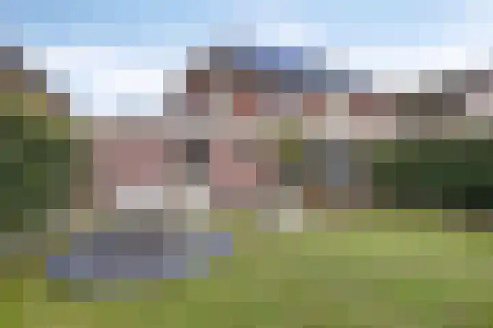Citroenvlinder 18 Emmen thumbnail 32