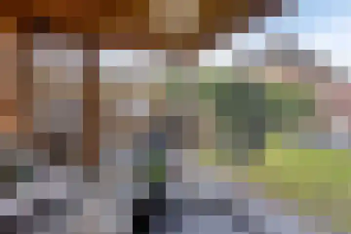 Citroenvlinder 18 Emmen thumbnail 34